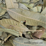 Sun Dried Mango Leaves (Mangifera Indica)