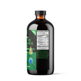 BLACKSEED, OIL OF OREGANO & MORINGA - 16oz