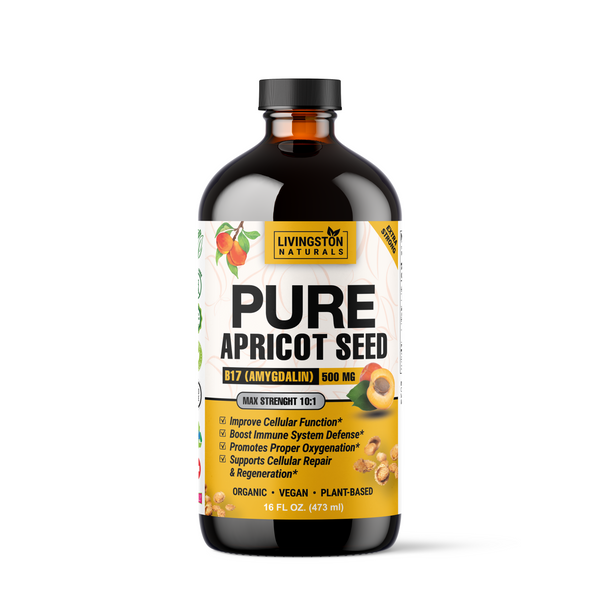 apricot seeds to plant Pure Apricot Seed