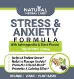 Value Special: Stress & Anxiety (Case of 12 Bottles)